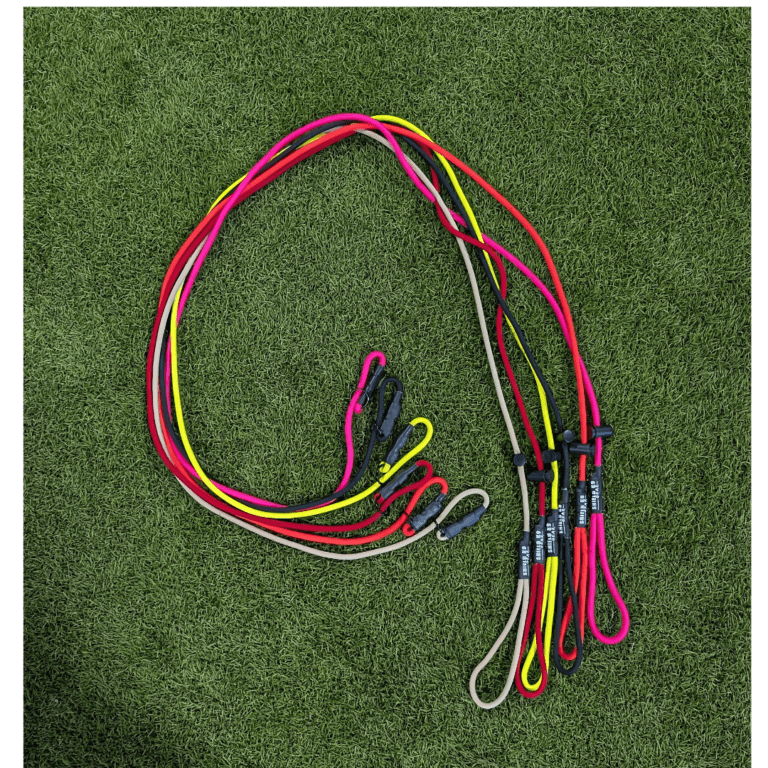 Shield K9 Elite Slip Lead SHIELD K9 DOG TRAINING shield-k9-elite-slip-lead-shield-k9-dog-training