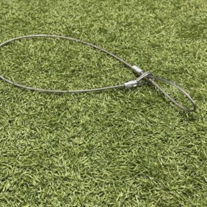 Steel Dom Dog Collar